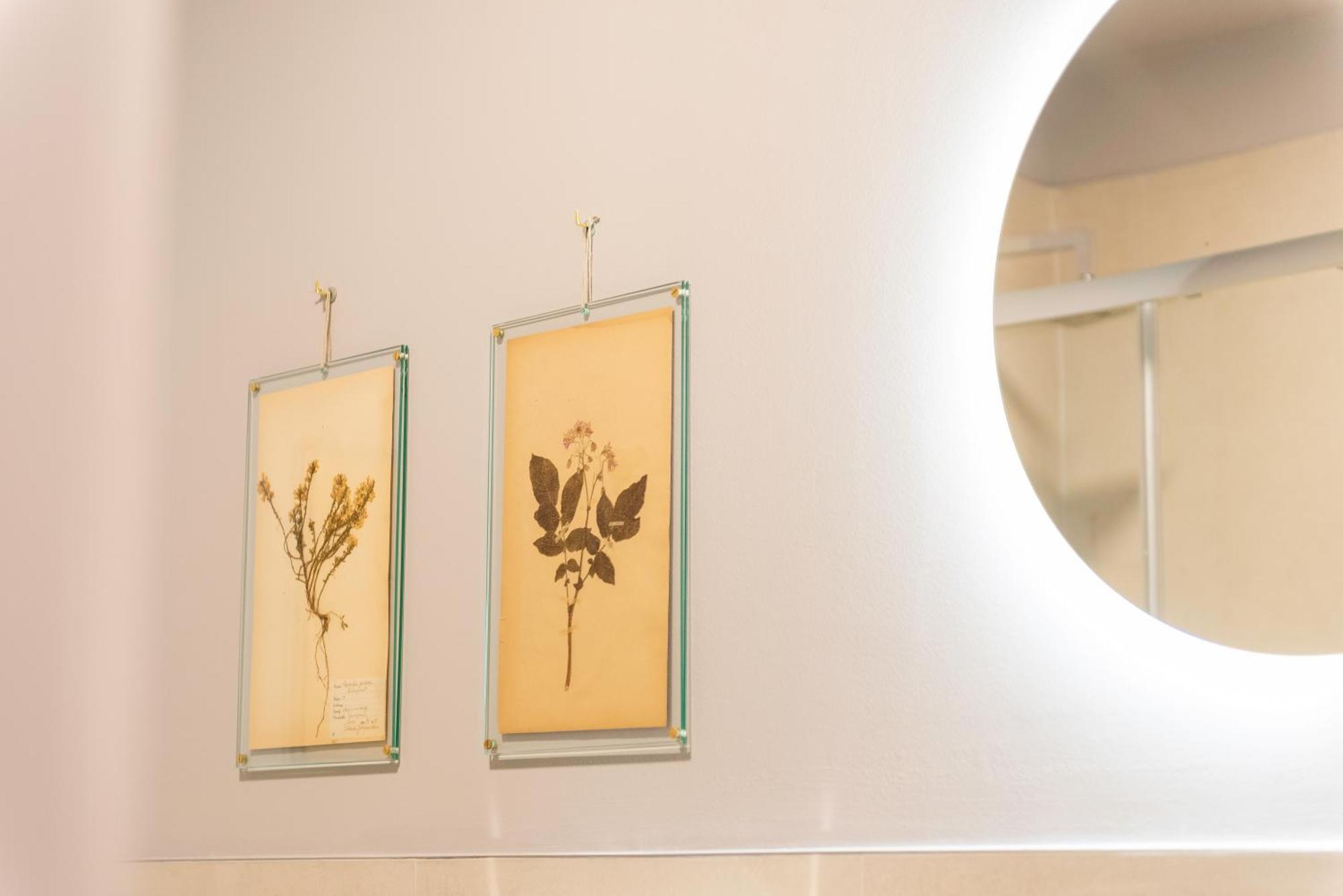 Regina Boutique Suites Trieste Esterno foto